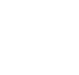 Project icon