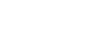 Project icon