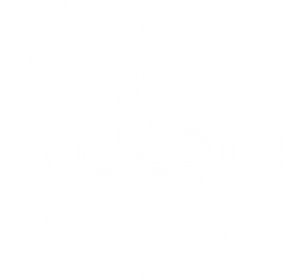 Project icon