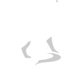 Project icon